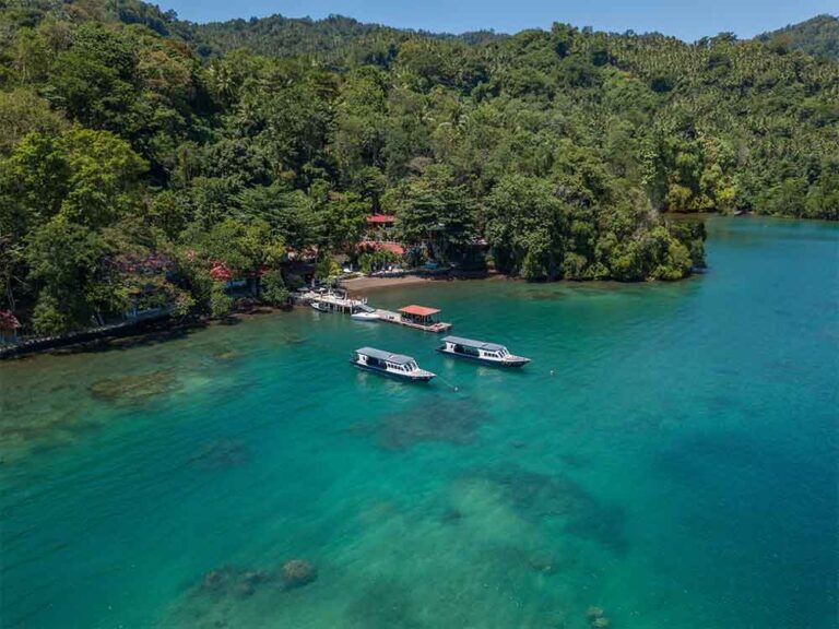 nad-lembeh dive resort