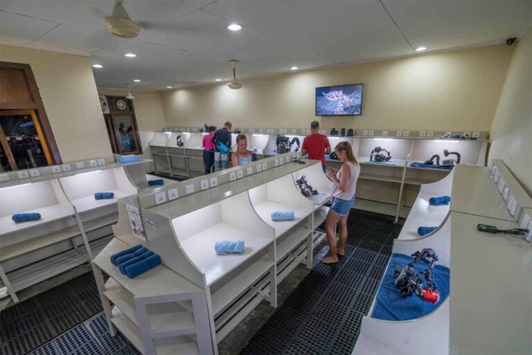 lembeh dive resort camera room