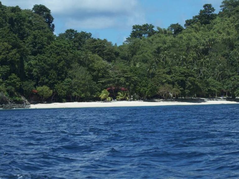 murex bangka dive resort