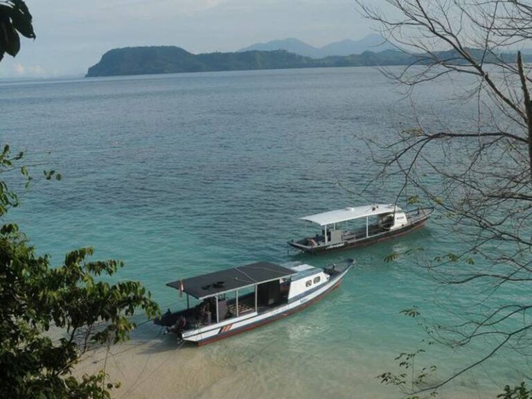 murex bangka dive boats
