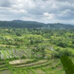 10 Destinations with Excellent Low-Season Diving